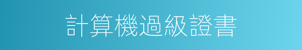 計算機過級證書的同義詞