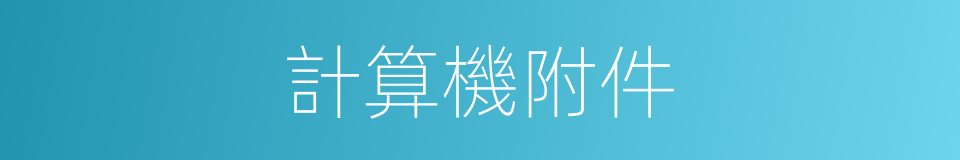 計算機附件的同義詞