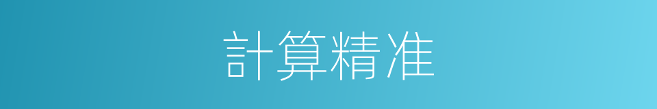 計算精准的同義詞