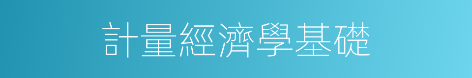 計量經濟學基礎的同義詞