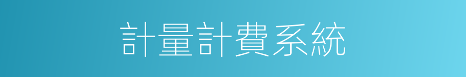 計量計費系統的同義詞