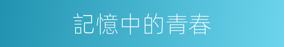 記憶中的青春的同義詞