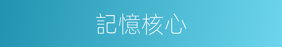 記憶核心的同義詞