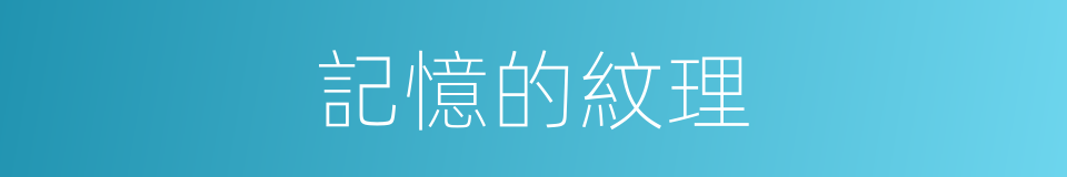 記憶的紋理的同義詞