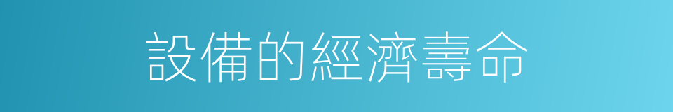 設備的經濟壽命的同義詞