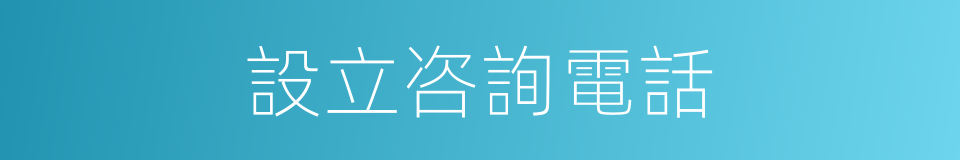 設立咨詢電話的同義詞