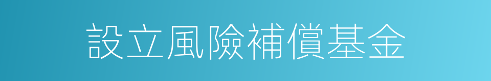 設立風險補償基金的同義詞