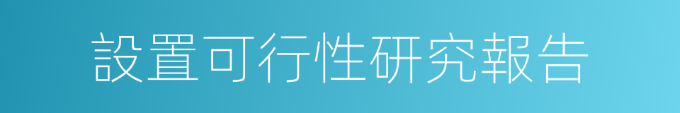 設置可行性研究報告的同義詞