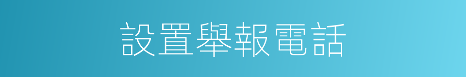 設置舉報電話的同義詞