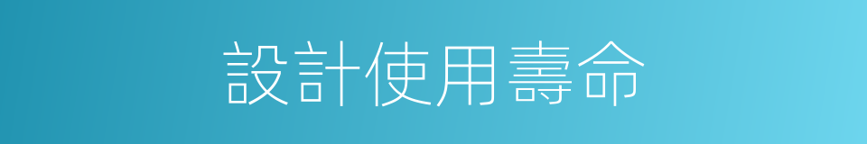 設計使用壽命的同義詞