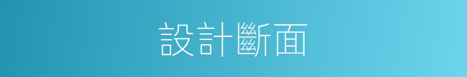 設計斷面的同義詞