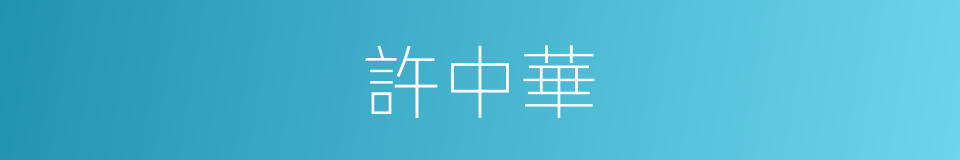 許中華的同義詞