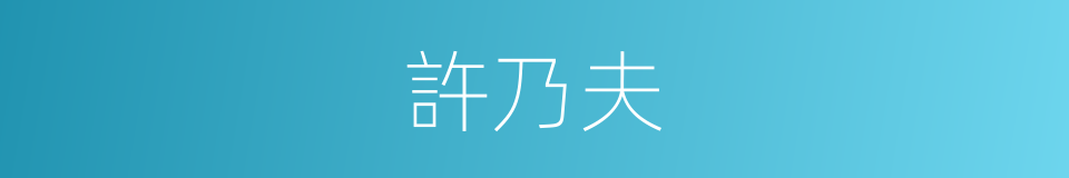 許乃夫的同義詞