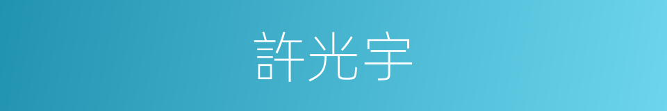 許光宇的同義詞