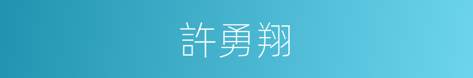 許勇翔的同義詞