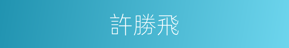 許勝飛的意思