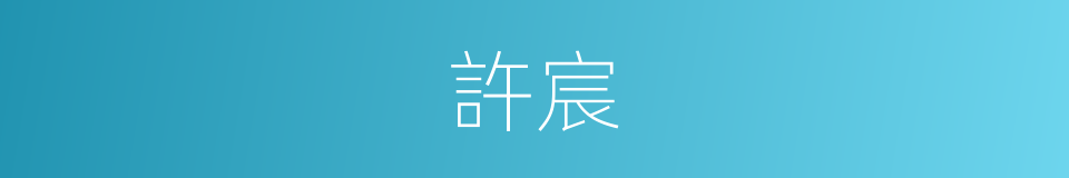 許宸的同義詞