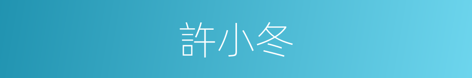 許小冬的同義詞