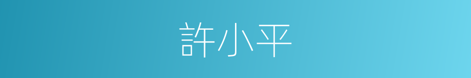 許小平的同義詞