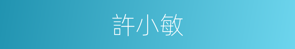 許小敏的同義詞