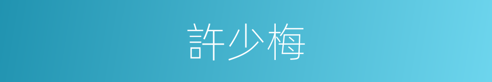 許少梅的同義詞