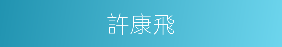 許康飛的同義詞