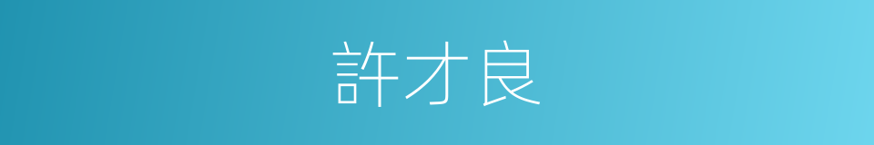 許才良的同義詞