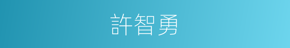 許智勇的同義詞