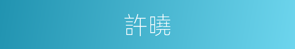 許曉的同義詞