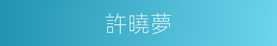 許曉夢的同義詞