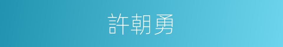 許朝勇的同義詞