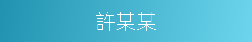 許某某的同義詞