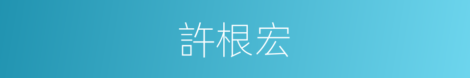 許根宏的同義詞