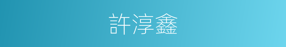 許淳鑫的同義詞