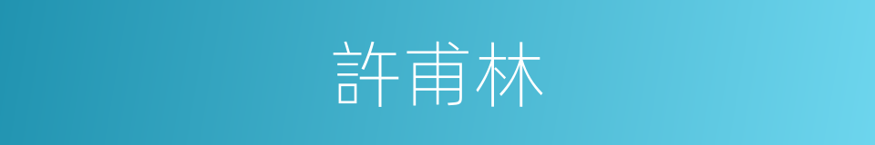許甫林的同義詞