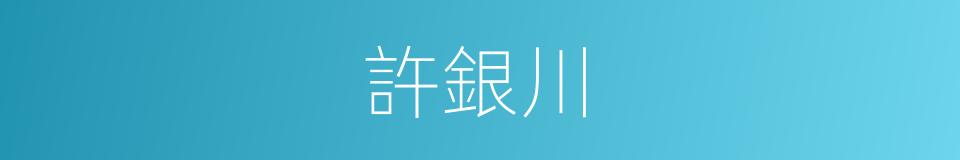 許銀川的同義詞