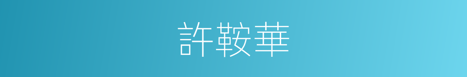 許鞍華的同義詞