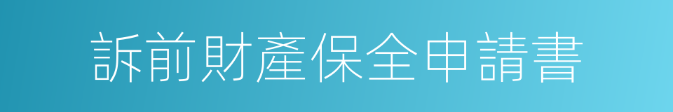 訴前財產保全申請書的同義詞