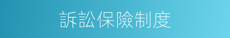 訴訟保險制度的同義詞