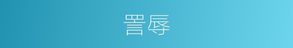 詈辱的意思