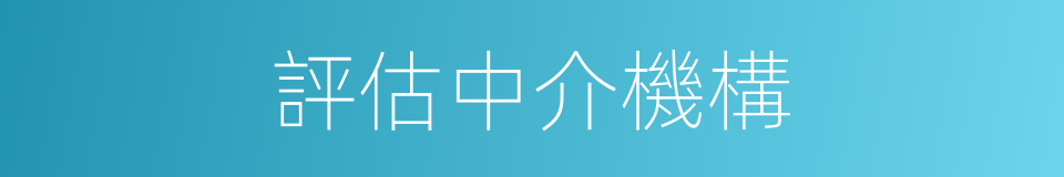 評估中介機構的同義詞