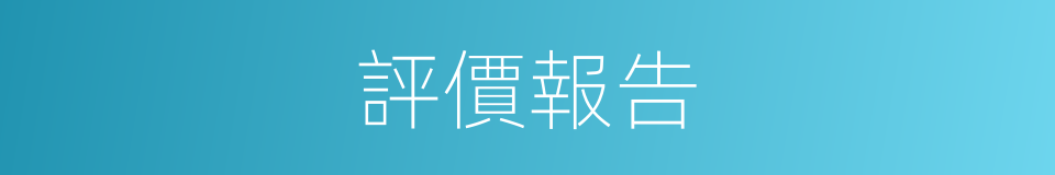 評價報告的同義詞