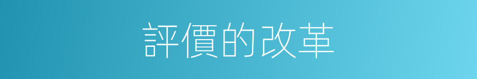 評價的改革的同義詞