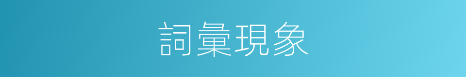 詞彙現象的同義詞