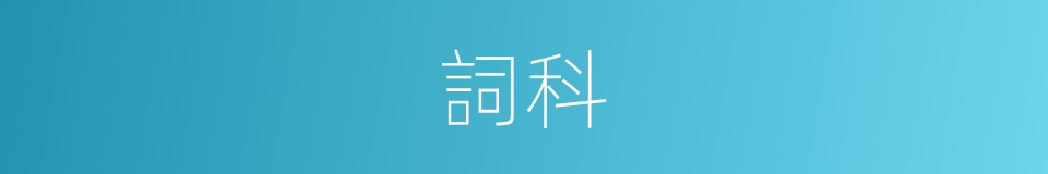 詞科的意思