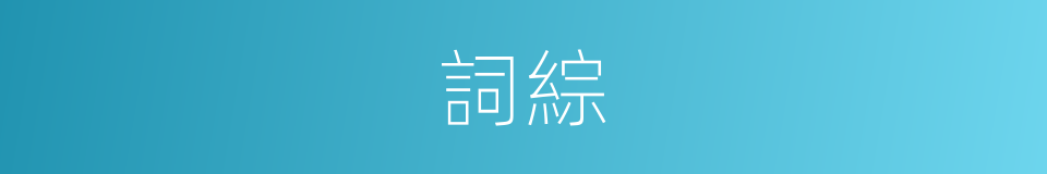詞綜的意思