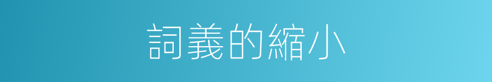 詞義的縮小的同義詞