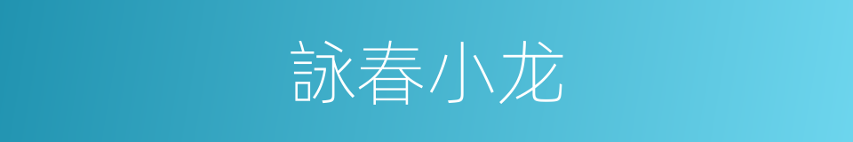 詠春小龙的同義詞