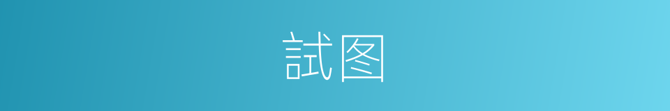 試图的意思