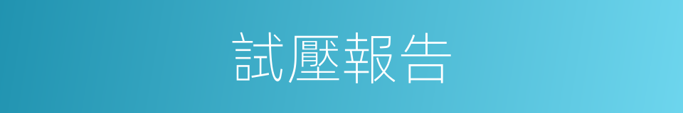 試壓報告的同義詞